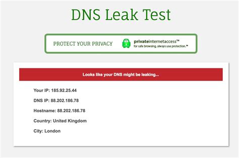 dnsleak test|DNS leak test